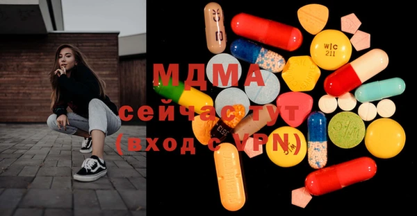 молекула духа Богданович