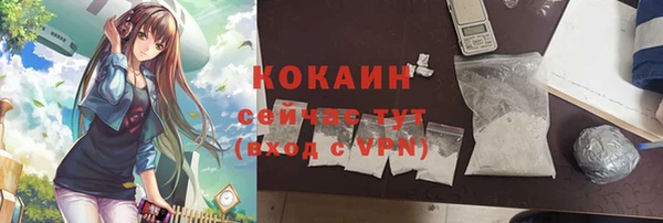 молекула духа Богданович