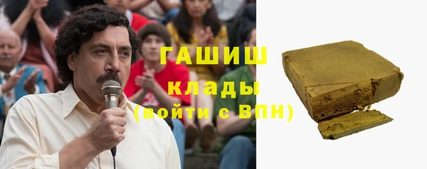 молекула духа Богданович