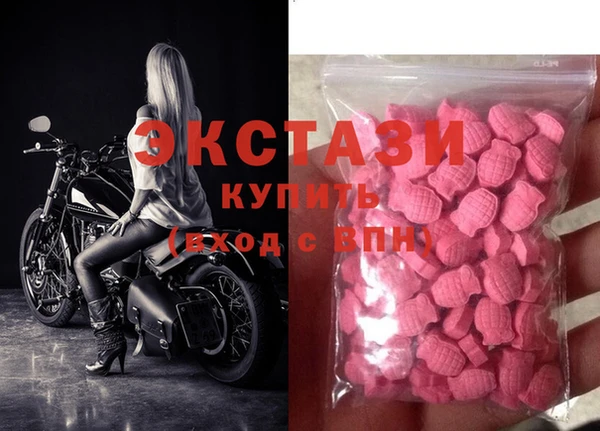 молекула духа Богданович