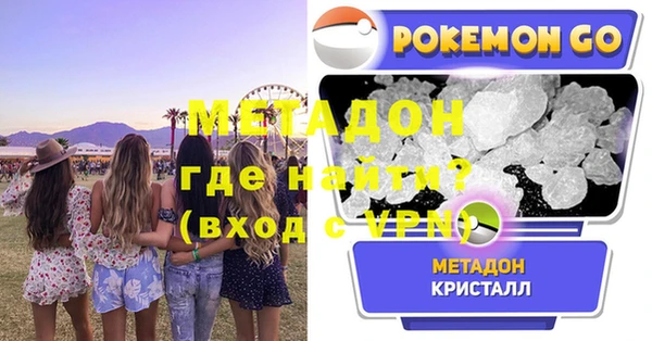 молекула духа Богданович
