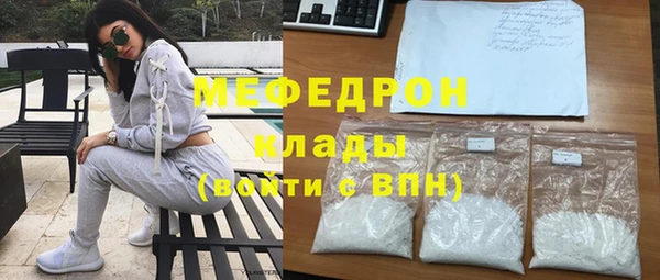 молекула духа Богданович