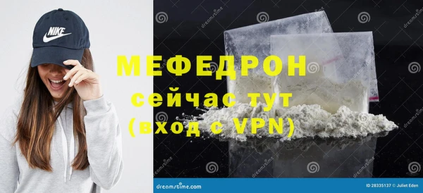 молекула духа Богданович