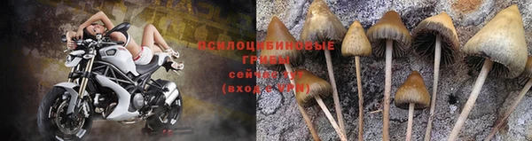 стафф Богородск