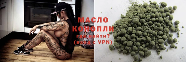 молекула духа Богданович